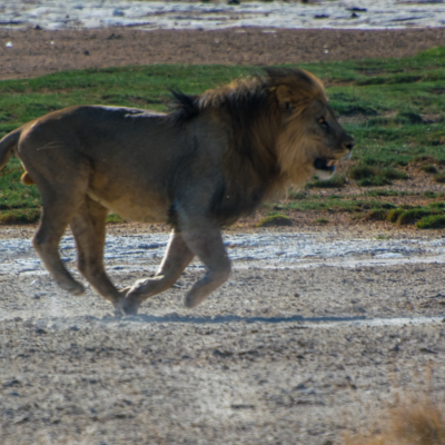 Untitled design (35)