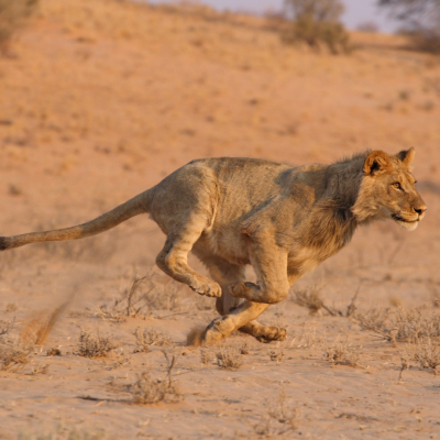 Untitled design (36)